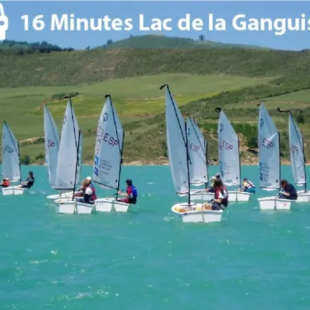 Elegance Lauragaise * Wifi * Netflix * Terrasse Apartamento *