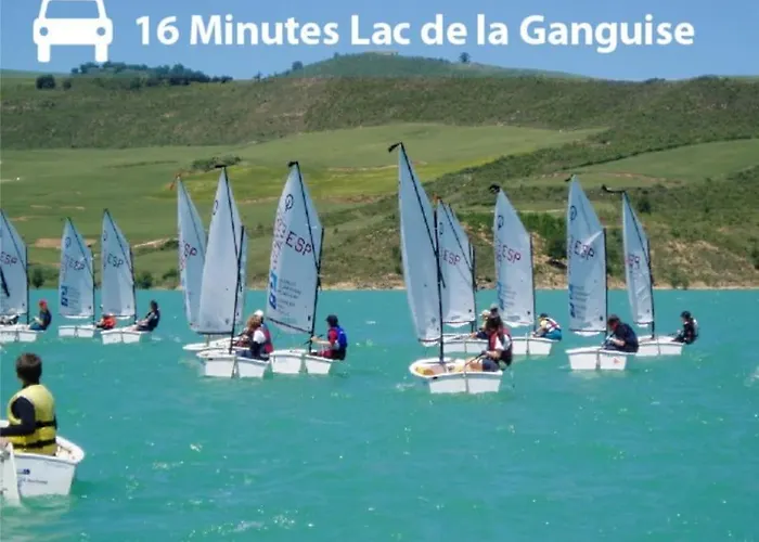 Elegance Lauragaise * Wifi * Netflix * Terrasse Daire *